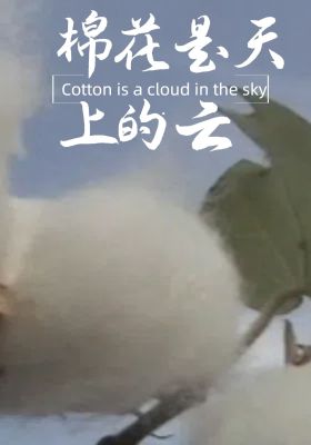 Cotton is the clouds in the sky
