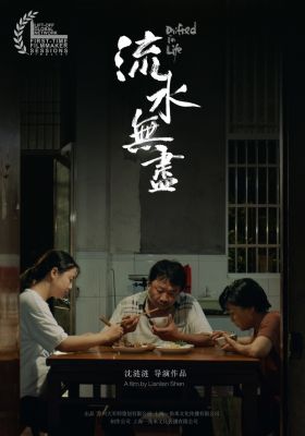 Drifted In Life poster