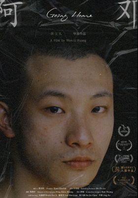 Going Home poster