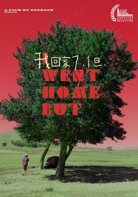I went home, but poster
