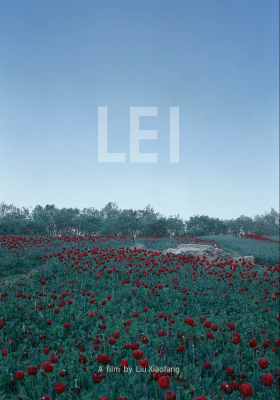 LEI  poster