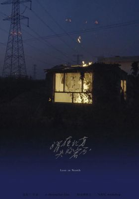 Lost in North poster