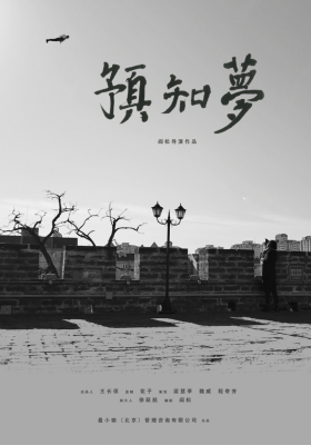 Prophetic Dreams poster