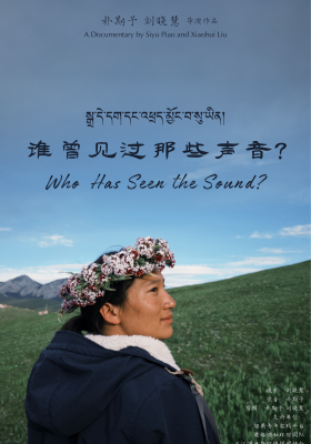 Who Has Seen the Sound?